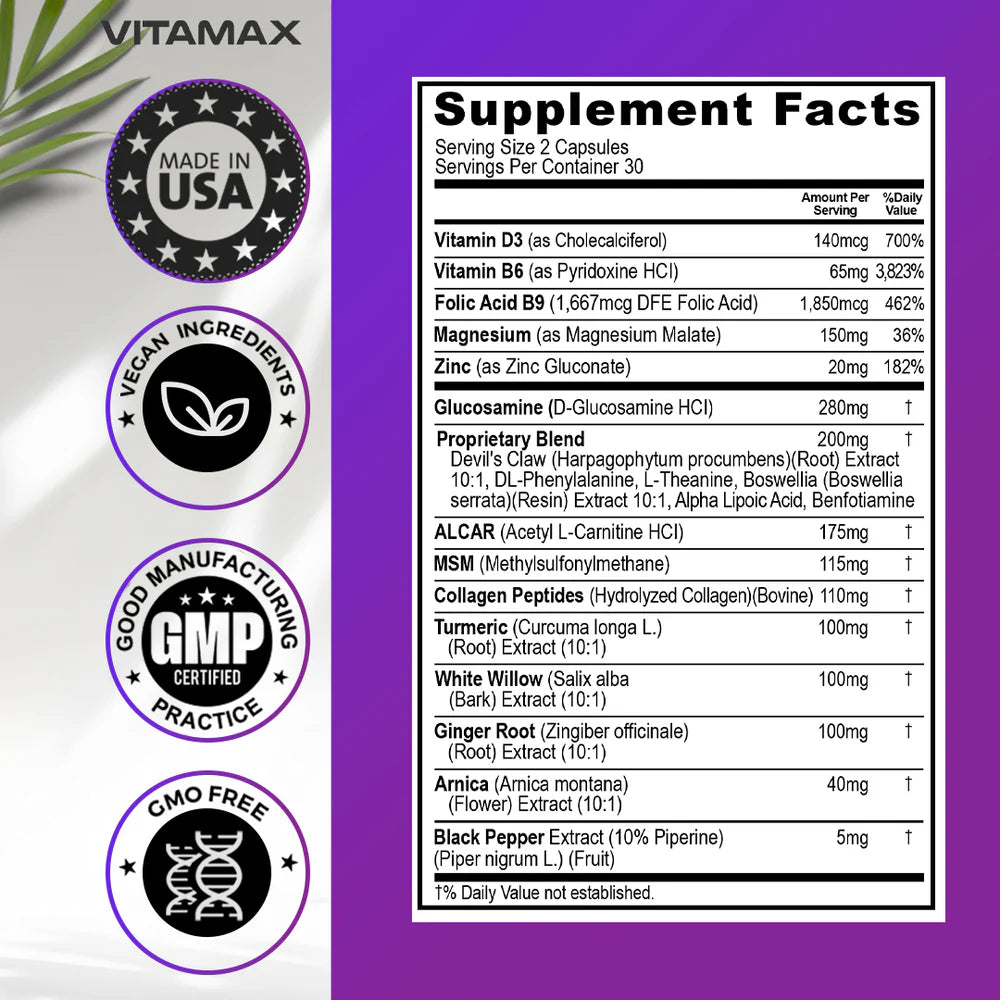 VITAMAX Sciatic Nerve Support | 20-IN-1 Daily Formula